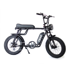 YBike FAT TIRE E-BIKE